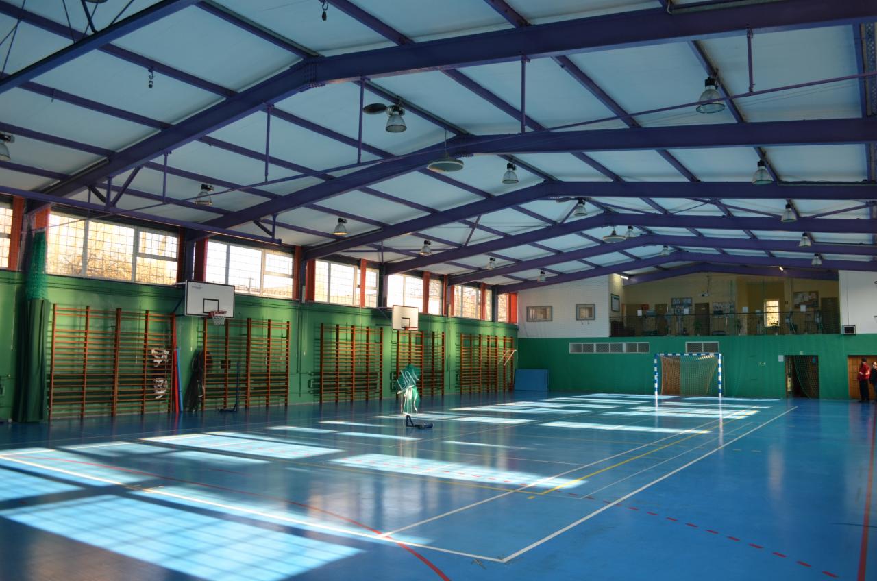 Przestronna, błękitna hala sportowa z drewnianymi drabinkami na zielonych ścianach i fioletową konstrukcją dachu, oświetlona naturalnym światłem z okien.