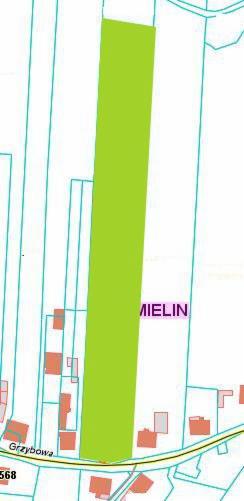 DUŻA DZIAŁKA IMIELIN, 5735 m2