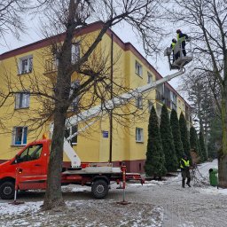 Wycinka drzew Stanisławów Pierwszy 4
