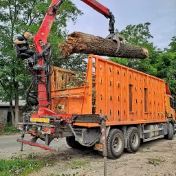 Pomarańczowy dźwig samochodowy z operatorem podnosi dużą kłodę drzewa nad skrzynią ładunkową. W tle zieleń drzew i fragment zabudowy.