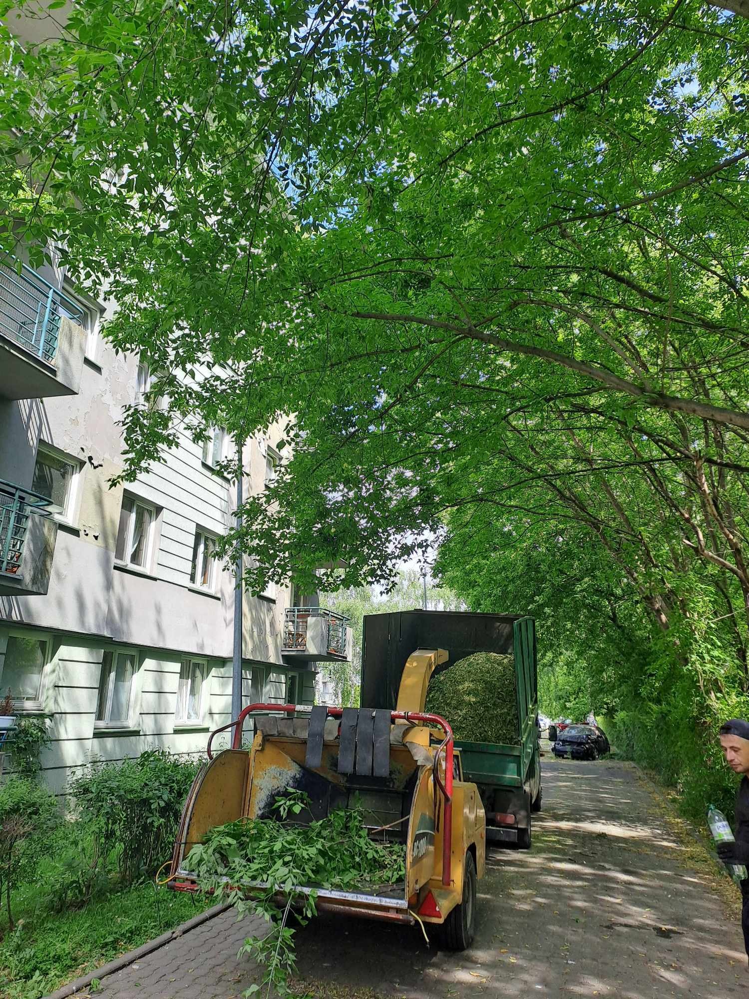 Żółty rębak do gałęzi przy budynku mieszkalnym, obok zaparkowany zielony samochód ciężarowy wypełniony pociętymi gałęziami. Osoba w tle.