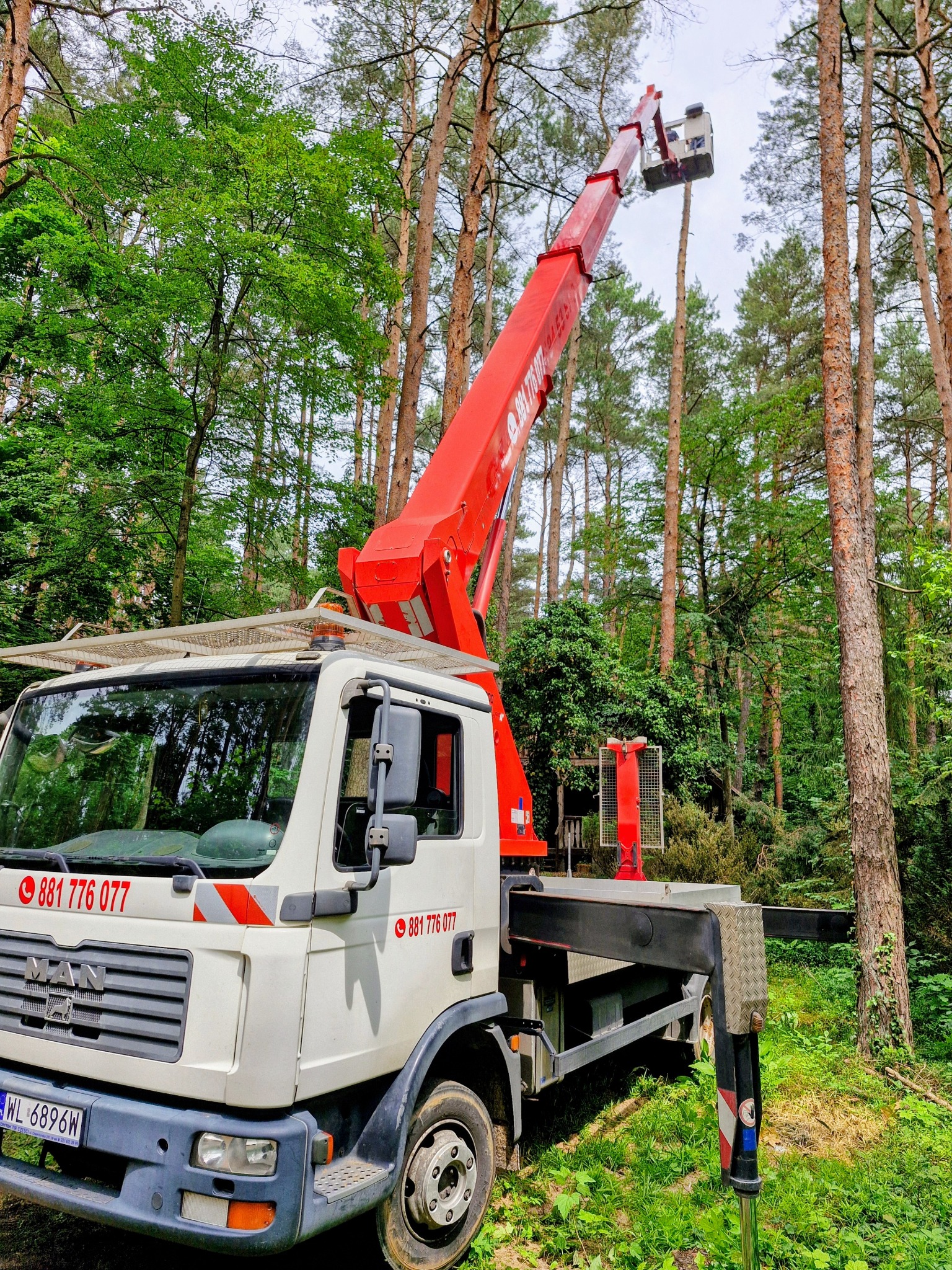 Ciężarówka z czerwonym podnośnikiem koszowym na tle drzew w Stanisławowie Pierwszym. Widoczny kosz na wysokości, sugerujący prace arborystyczne.