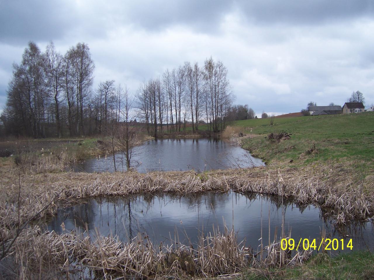 Naturalny krajobraz: niewielki staw otoczony szuwarami i drzewami bez liści, z budynkiem w oddali pod pochmurnym niebem. Data 09/04/2014 w prawym dolnym rogu.