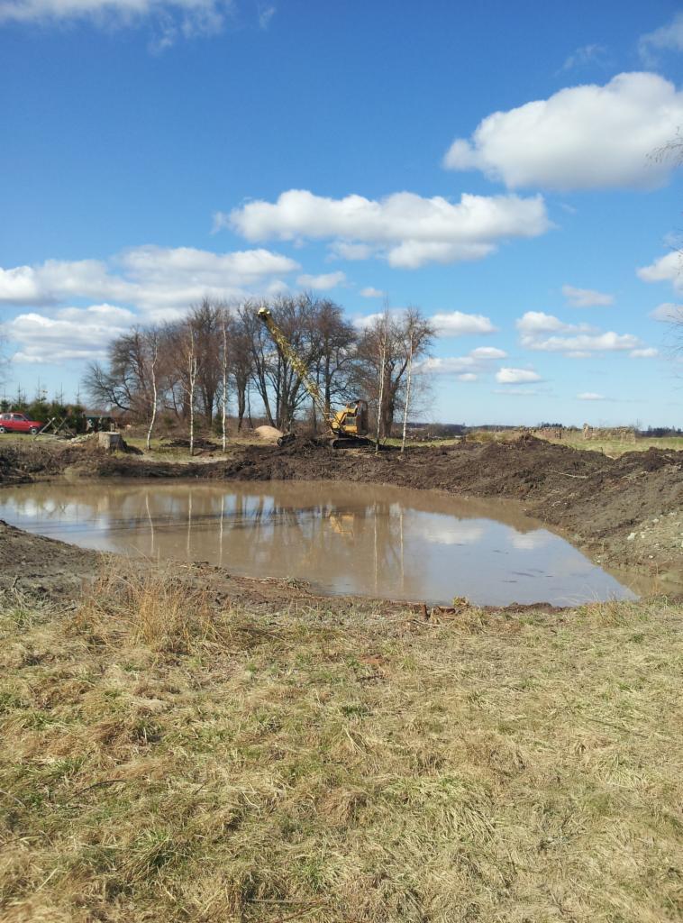 Żółta koparka nad nowo wykopanym stawem na tle drzew i błękitnego nieba z chmurami. Czerwony samochód w oddali, trawa na pierwszym planie.