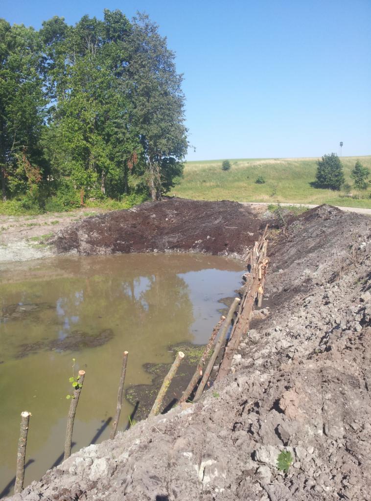 Wykonanie stawu z brzegami umocnionymi drewnianymi palikami. W tle zielony krajobraz i błękitne niebo. Widoczne ślady prac ziemnych.