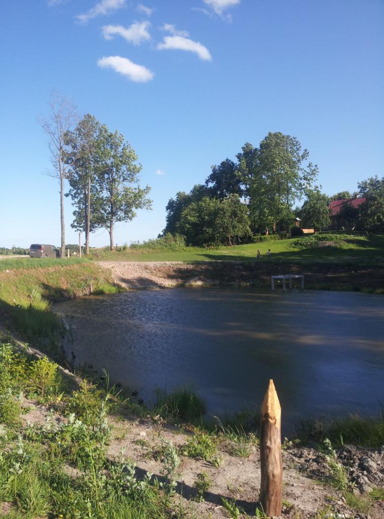 Wykonany zbiornik wodny otoczony zielenią, z drewnianym palikiem na pierwszym planie i niebem z chmurami w tle. Widoczne ślady prac ziemnych.