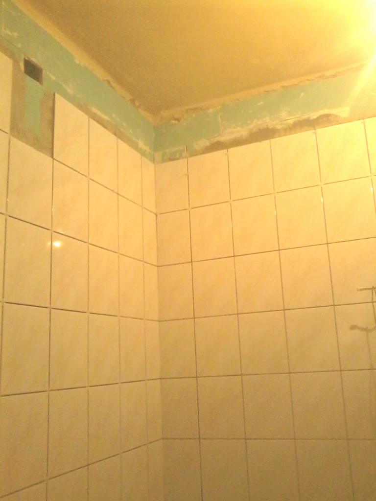 Ściana i sufit w łazience wyłożone kwadratowymi, beżowymi płytkami. Widoczne ślady świeżego spoinowania i zielona farba na styku płytek z sufitem. Ujęcie z dołu.