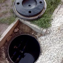 studzinka wielkopolska