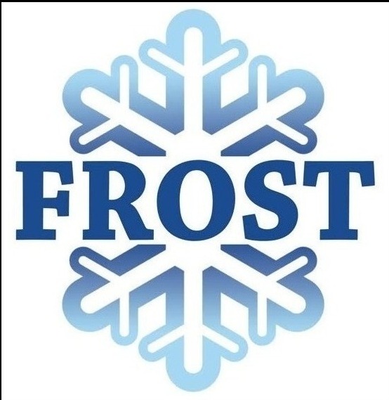 Niebieski logotyp 'FROST' na tle stylizowanej, błękitnej śnieżynki. Prosty, nowoczesny design, sugerujący chłodzenie lub mrożenie. Wyraźna typografia.