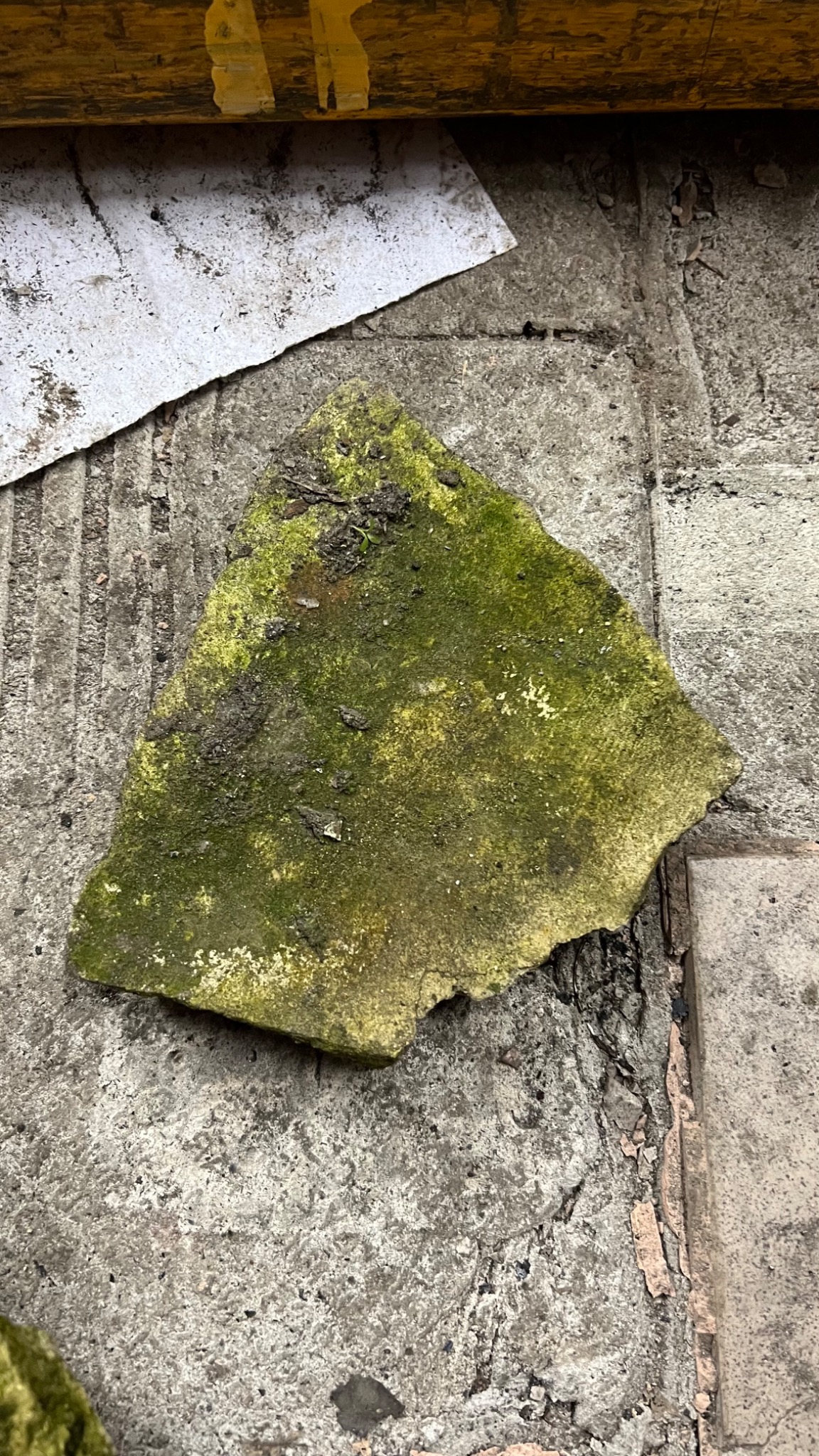 Fragment zdemontowanej płyty betonowej z porostem mchu i resztkami ziemi, leżący na nierównej powierzchni betonowej. W tle widoczny fragment białej płyty i żółtej belki.