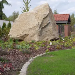 Duży, jasny kamień narzutowy jako element dekoracyjny w ogrodzie, otoczony rabatą z roślin okrywowych i korą, z trawnikiem w pierwszym planie i ogrodzeniem w tle.