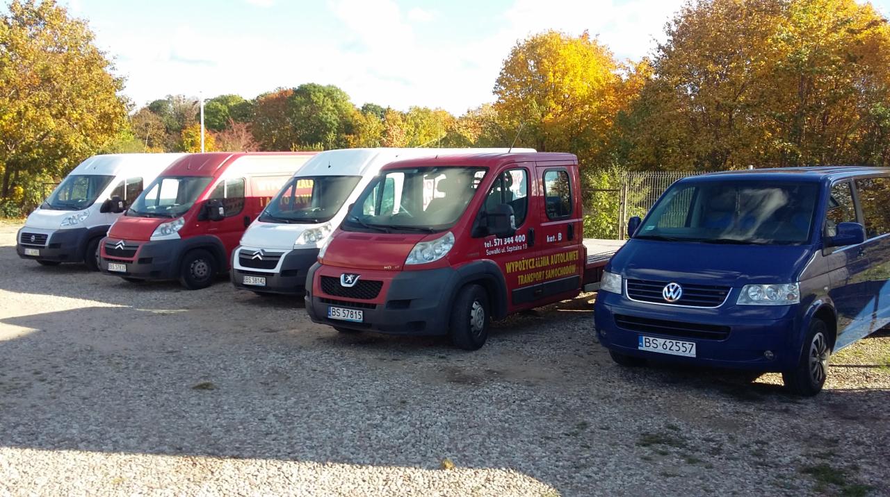 Rząd zaparkowanych busów w różnych kolorach (biały, czerwony, niebieski) na żwirowym parkingu z drzewami w tle, jeden z czerwonych busów ma oznaczenia firmy zajmującej się wynajmem autolawet...