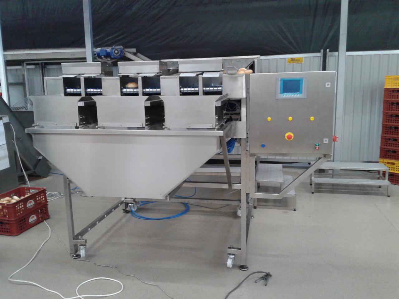 Srebrna maszyna sortująca ziemniaki z panelem sterowania, widoczna skrzynka z ziemniakami i taśmociąg. Przemysłowy automat do selekcji.