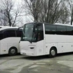 Dwa białe autokary turystyczne zaparkowane na placu, widoczne drzewa w tle, jeden z autokarów z czarnym dachem.