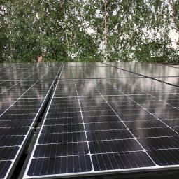 RAMZES Technologie Diamentowe Paweł Purzycki - Rząd paneli słonecznych na dachu, odbijających światło, z widocznymi drzewami w tle.