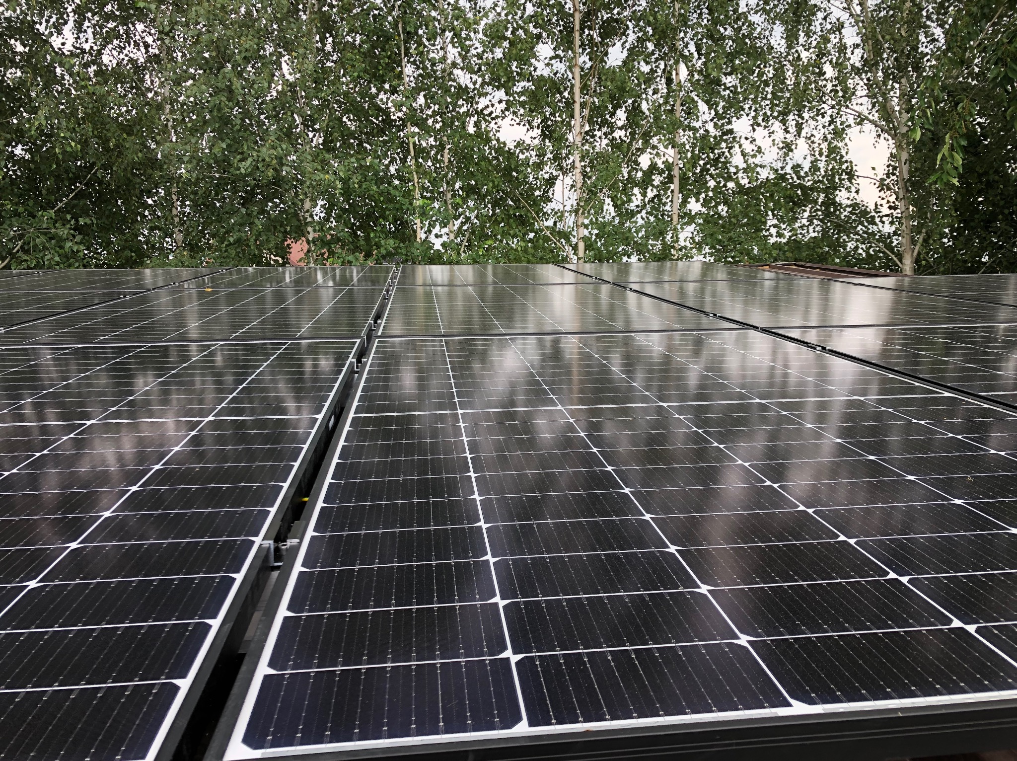 Rząd paneli słonecznych na dachu, odbijających światło, z widocznymi drzewami w tle.