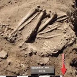 nadzór archeologiczny