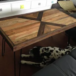 Stolik kawowy z blatem z drewna w geometryczny wzór, na metalowych nóżkach, z psem rasy dalmatyńczyk leżącym pod nim na drewnianej podłodze, w tle sofa i komoda.