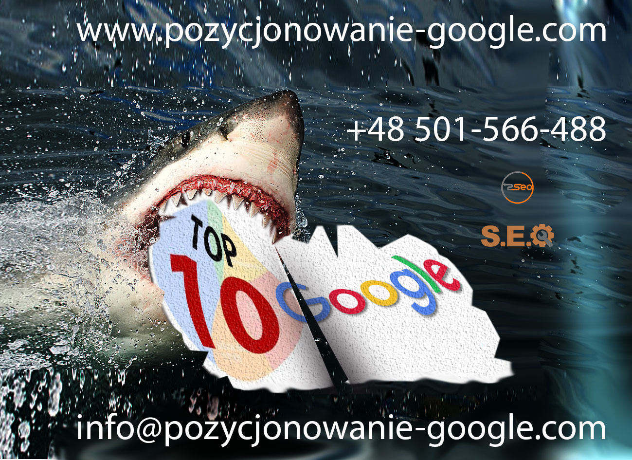 Reklama usług internetowych: rekin z napisem 'TOP 10' i logo Google na tle wody, kontakt telefoniczny i adres e-mail.