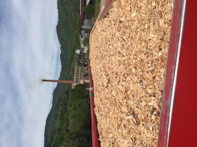 Zrębki drzewne tartaczne i leśne