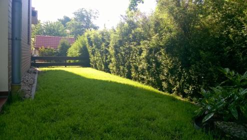 Pogotowie Ogrodowe RAPOS Patrycja Łaganowska - Prace działkowe Wrocław