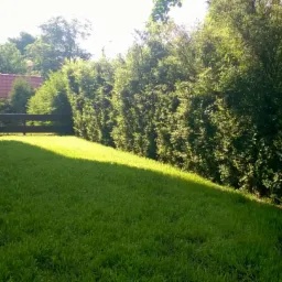 Zadbany trawnik przylegający do domu z równo przyciętym żywopłotem wzdłuż ogrodzenia. Widoczne elementy architektury i zieleni, tworzące estetyczną przestrzeń.