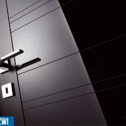 Czarne drzwi zewnętrzne z poziomymi frezowaniami i chromowaną klamką, widoczne z bliska pod kątem, z wyraźnym odbiciem światła.