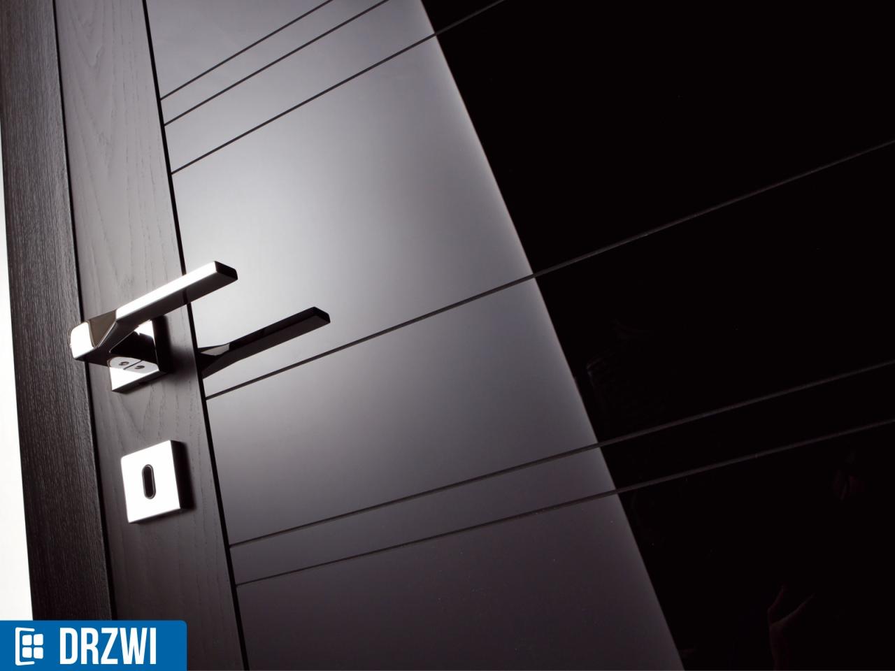Czarne drzwi zewnętrzne z poziomymi frezowaniami i chromowaną klamką, widoczne z bliska pod kątem, z wyraźnym odbiciem światła.
