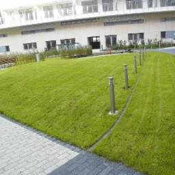 Świeżo skoszony trawnik przed nowoczesnym budynkiem mieszkalnym z równo przystrzyżoną trawą, oświetlony niskimi lampami ogrodowymi wzdłuż ścieżki z kostki brukowej.