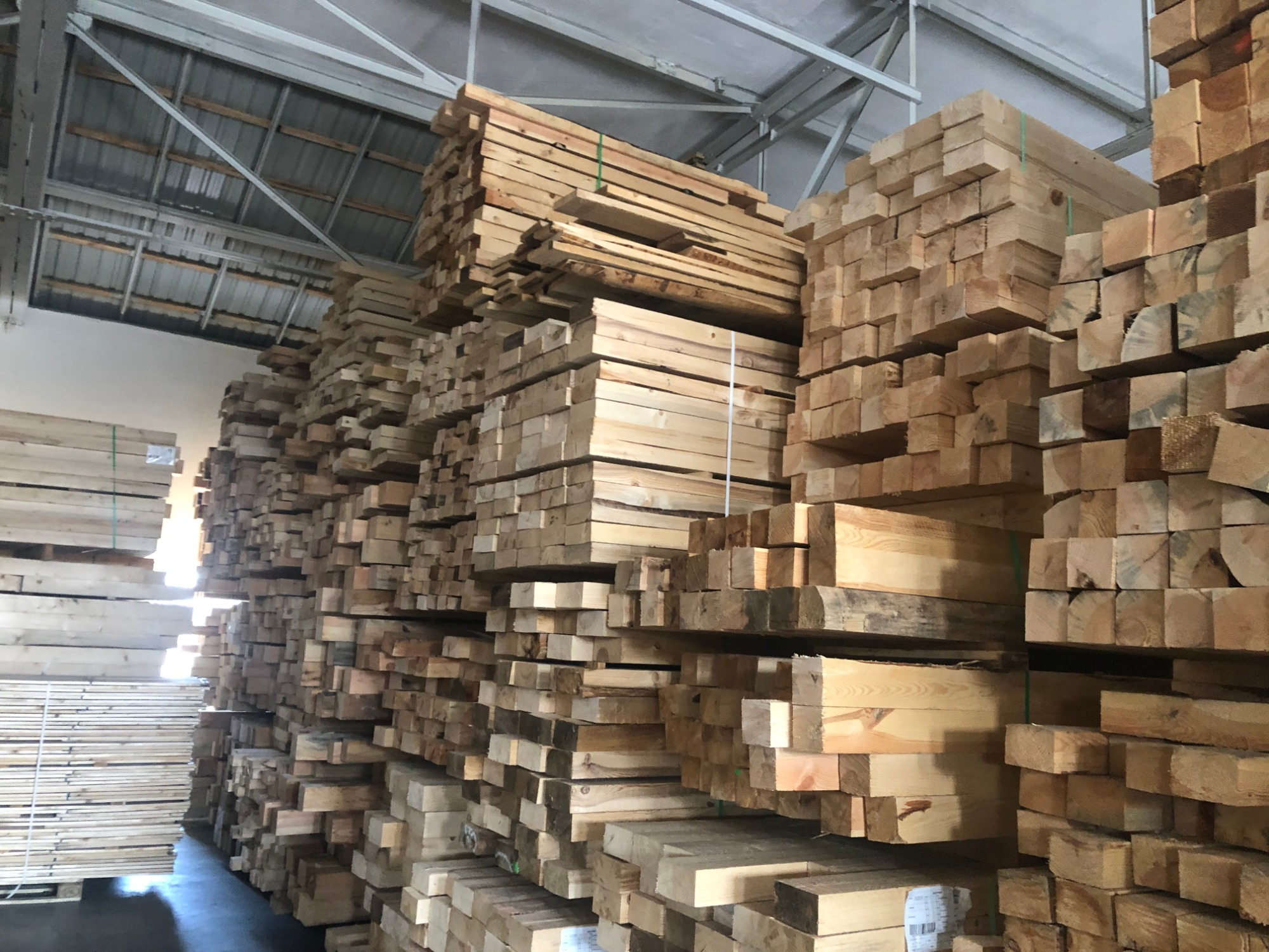 Magazyn z wysokimi stosami świeżo przetartego drewna budowlanego, widoczne różne przekroje i odcienie, na górze belki związane zieloną taśmą, w tle metalowa konstrukcja dachu.