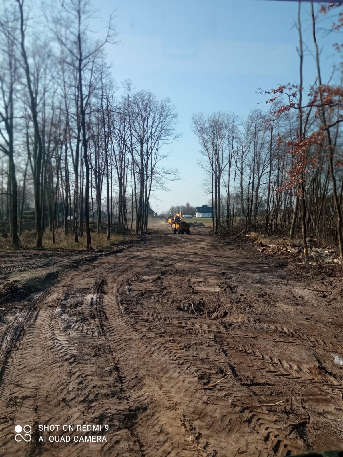 Żółta ładowarka na błotnistej drodze w lesie, ślady opon, wycinka drzew, błękitne niebo w tle. Prace ziemne w toku, przygotowanie terenu pod budowę.