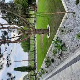 Widok na ogród z trawnikiem, drzewem z obłożonym kamieniem u podstawy pnia, rabatami z białym kamieniem i niską roślinnością, oraz ścieżką wyłożoną kostką brukową.