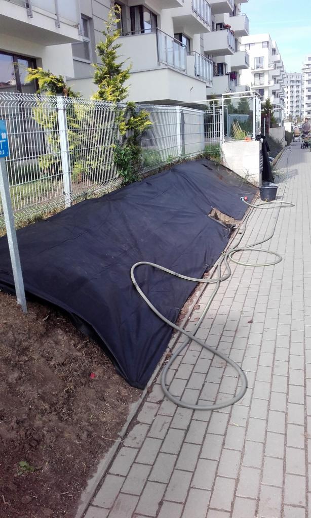 Przygotowanie terenu pod nasadzenia: czarna agrowłóknina rozłożona na ziemi wzdłuż chodnika, widoczny wąż ogrodowy i wiadro, tło stanowią nowoczesne bloki mieszkalne.