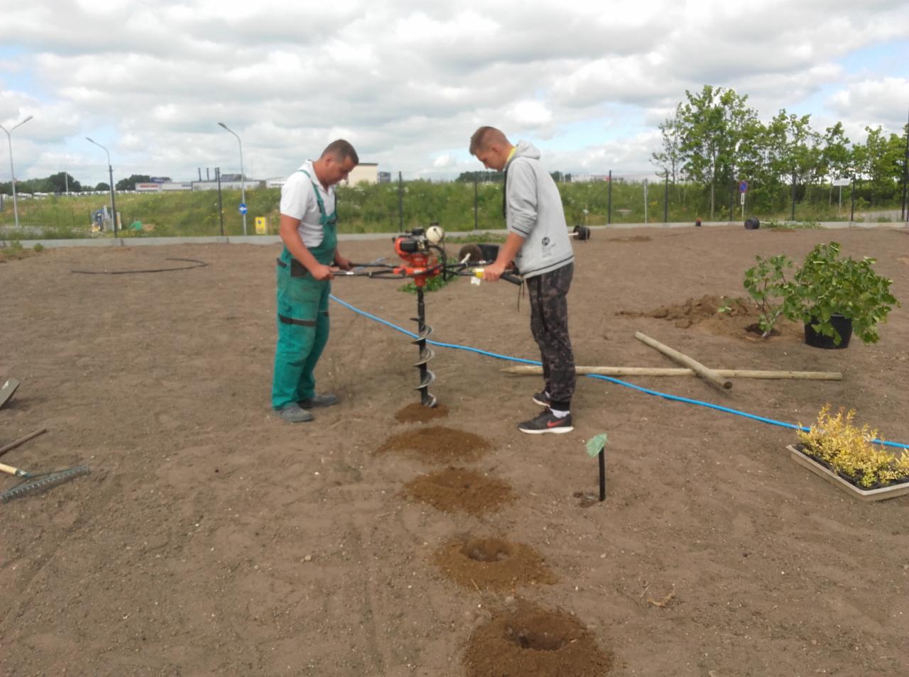 Dwóch mężczyzn wierci otwory w ziemi za pomocą wiertnicy spalinowej, przygotowując teren pod nasadzenia roślin. W tle widoczne rośliny w donicach.