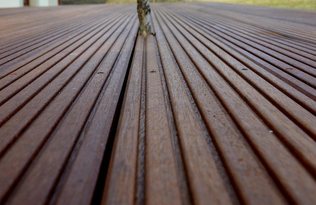 Brunatny taras z desek, z niskiego kąta, z młodym drzewkiem wyrastającym spomiędzy szczelin. Widoczne ślady po wkrętach. Trawa i fragment budynku w tle.