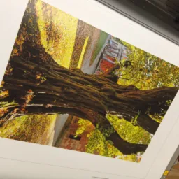 Wydruk na płótnie canvas. Foto razy.