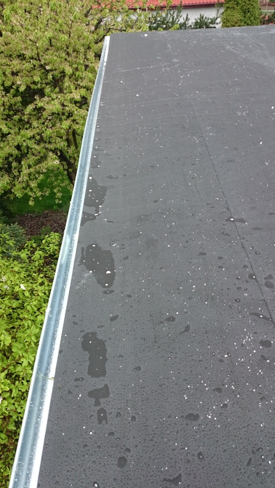 Widok z góry na płaski, mokry dach pokryty papą z widocznymi kroplami wody i białymi plamkami, z aluminiową obróbką blacharską krawędzi dachu i zielenią w tle.