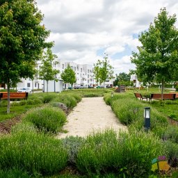 Administrator nieruchomości Warszawa 2