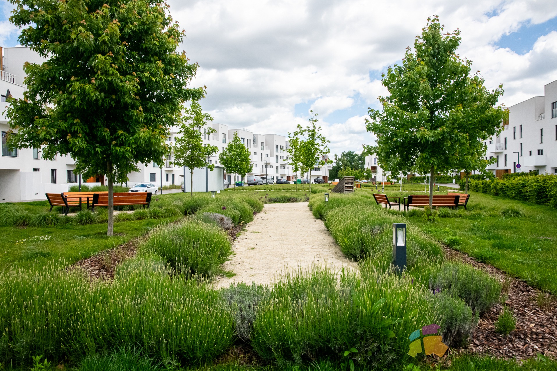 Osiedle z zadbaną zielenią: ścieżka z jasnym żwirem, symetryczne rabaty lawendy, ławki pod drzewami i nowoczesna architektura budynków w tle. Ujęcie z poziomu gruntu.