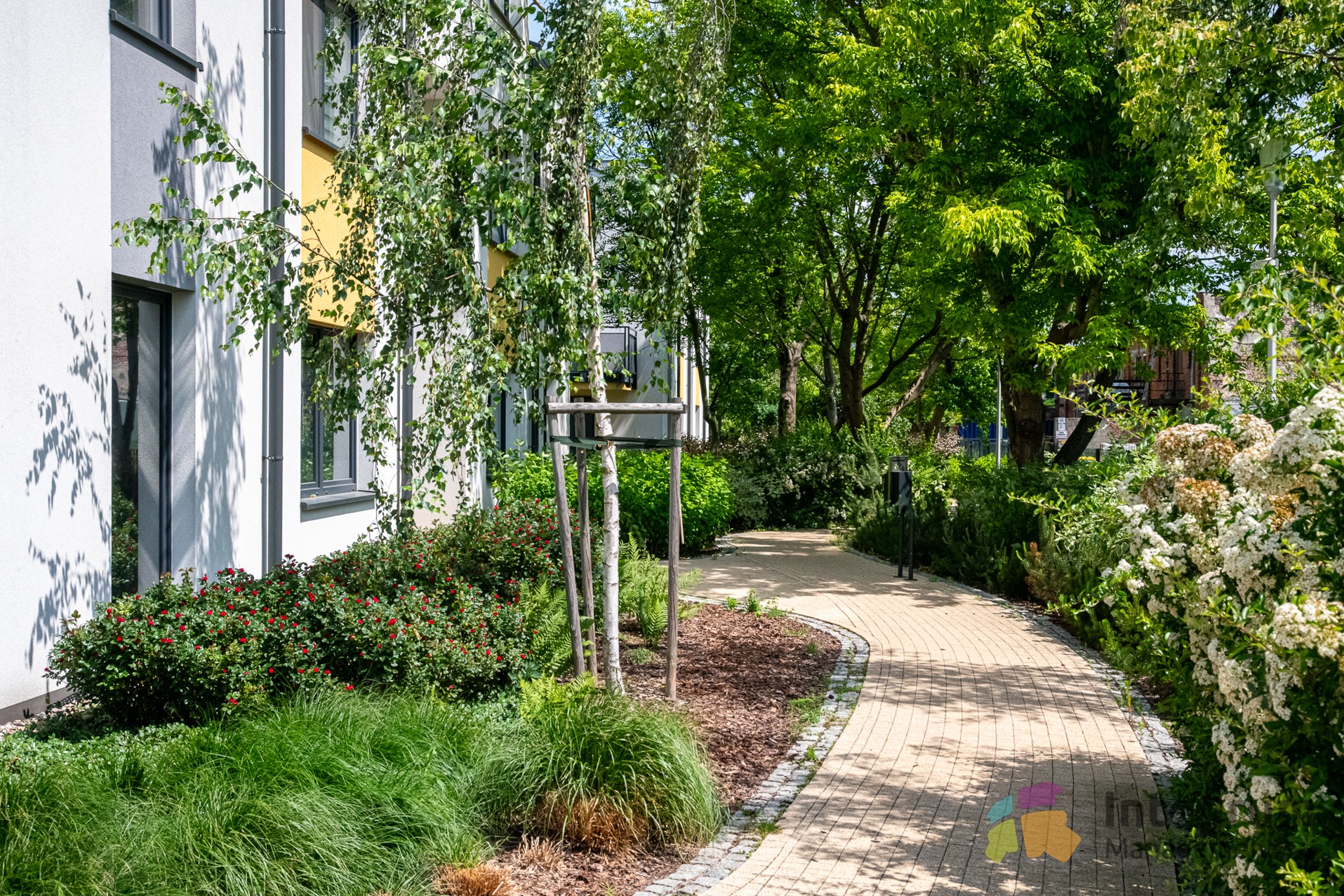 Osiedlowy chodnik z kostki brukowej, otoczony zielenią i kwiatami, prowadzący wzdłuż budynku z oknami. Słoneczny dzień.