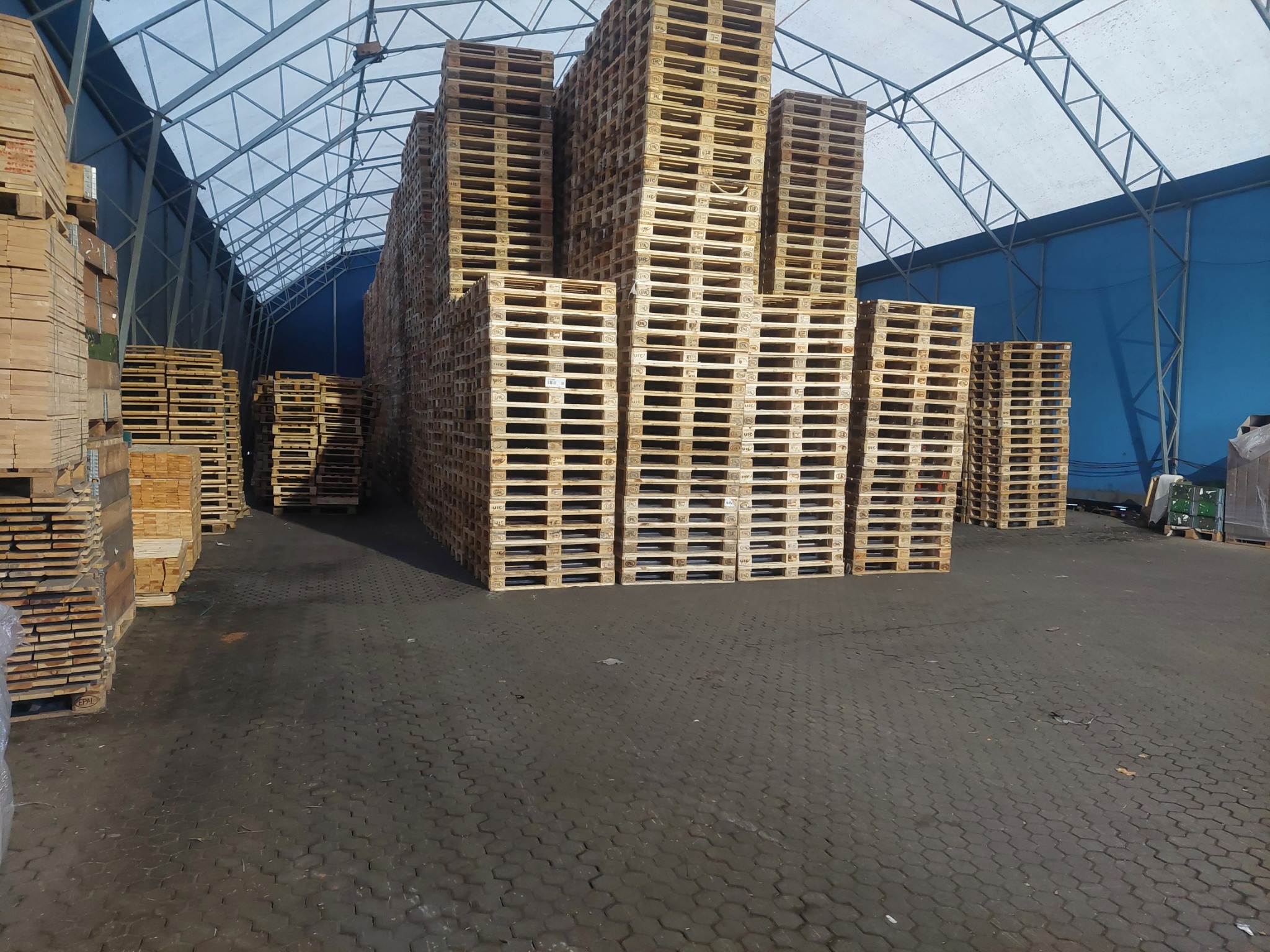 Magazyn z wysokimi stosami drewnianych palet euro pod zadaszeniem z metalową konstrukcją i niebieskim tłem