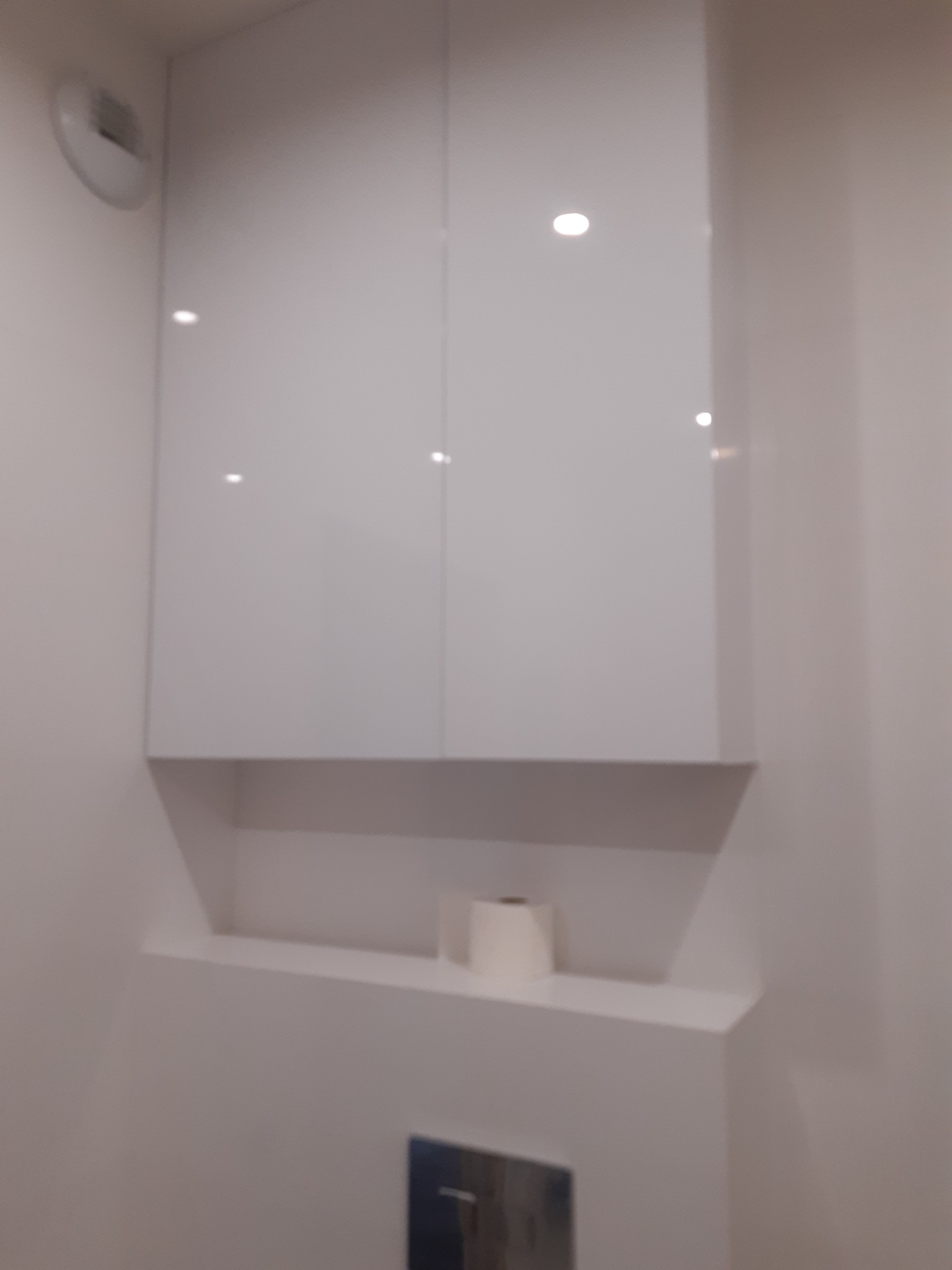 Biała szafka łazienkowa z połyskiem, wbudowana w ścianę nad toaletą, z półką na papier toaletowy i widocznym przyciskiem spłuczki.