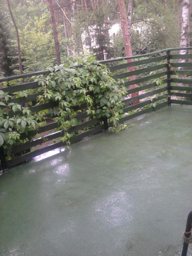 Zielona, gładka powierzchnia balkonu z drewnianą balustradą, porośniętą bluszczem, widok na las w tle, lekko mokra nawierzchnia.