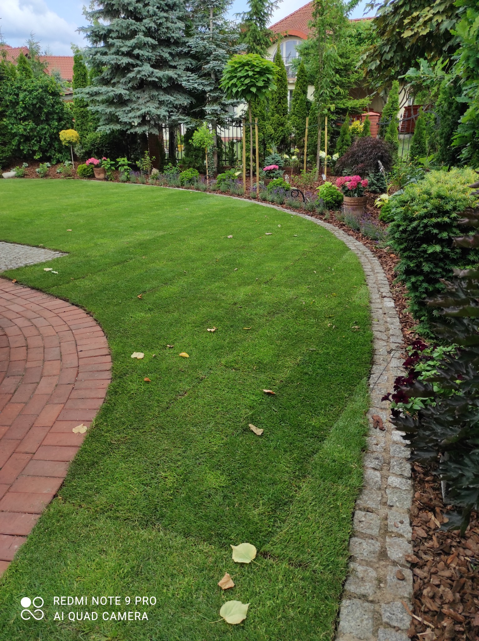 Trawa z rolki, nawodnienie, sadzenie roślin