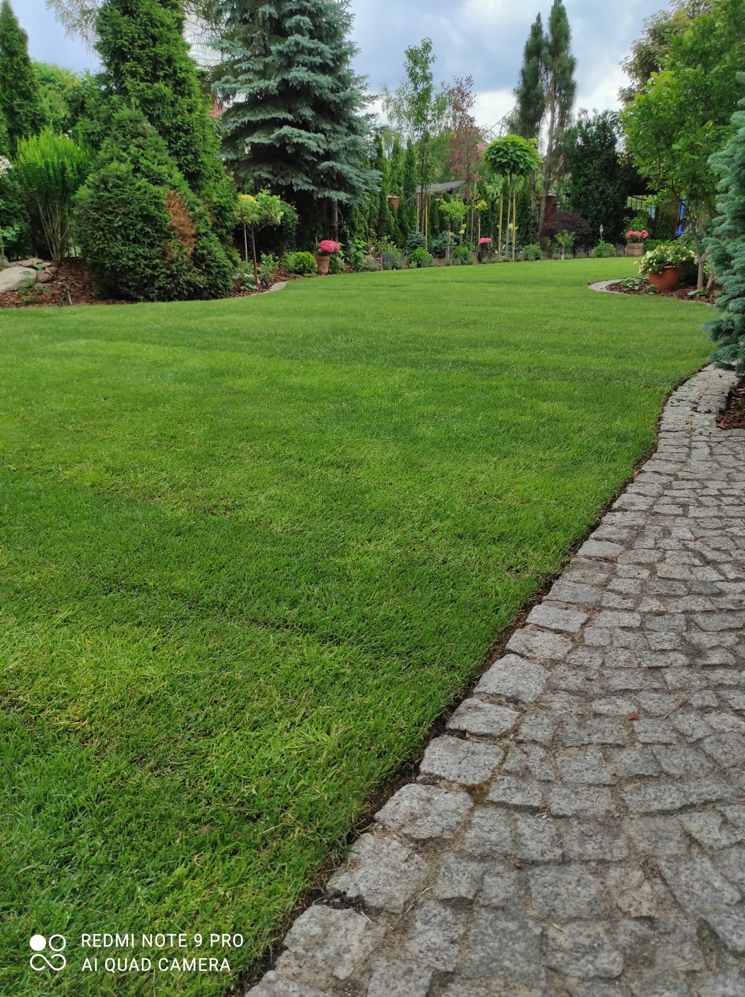 Rozległy, zadbany trawnik z równo przystrzyżoną trawą, obrzeża wykończone kamienną ścieżką, w tle różnorodne drzewa i krzewy ozdobne.