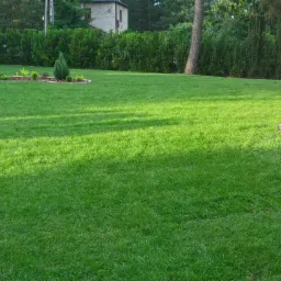 Świeżo założony trawnik z rolki przylegający do budynku z brązową elewacją, widoczny zarys cienia drzewa na trawie.