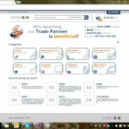 Zrzut ekranu strony internetowej platformy B2B z kategoriami produktów, wyszukiwarką i ofertami specjalnymi, wyświetlany w przeglądarce Chrome na systemie Windows.