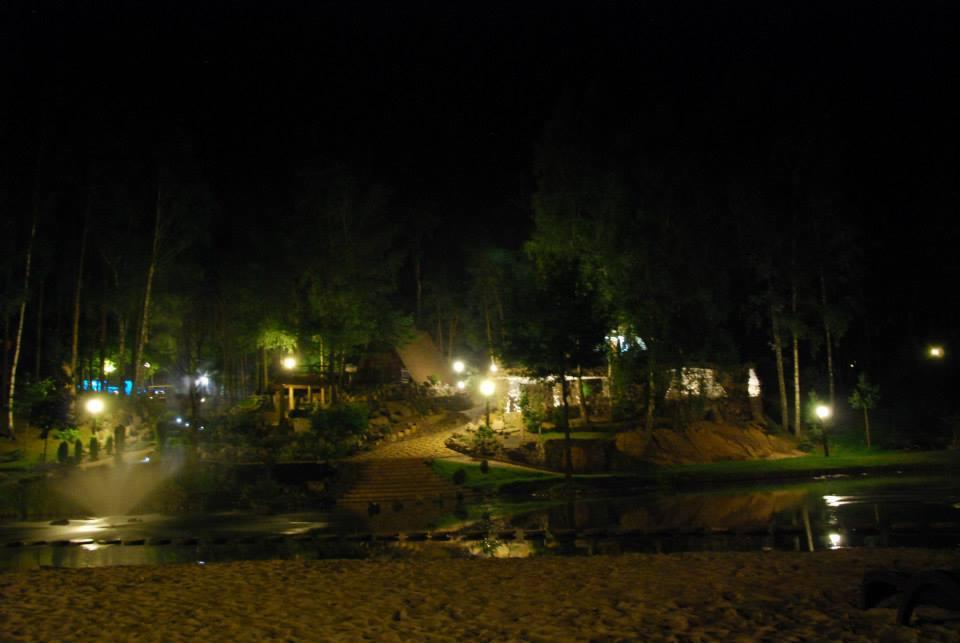 Oświetlony ogród nocą: ścieżka, schody, altany i drzewa podświetlone ciepłym światłem lamp. W tle ciemny las. Woda odbija blask świateł.