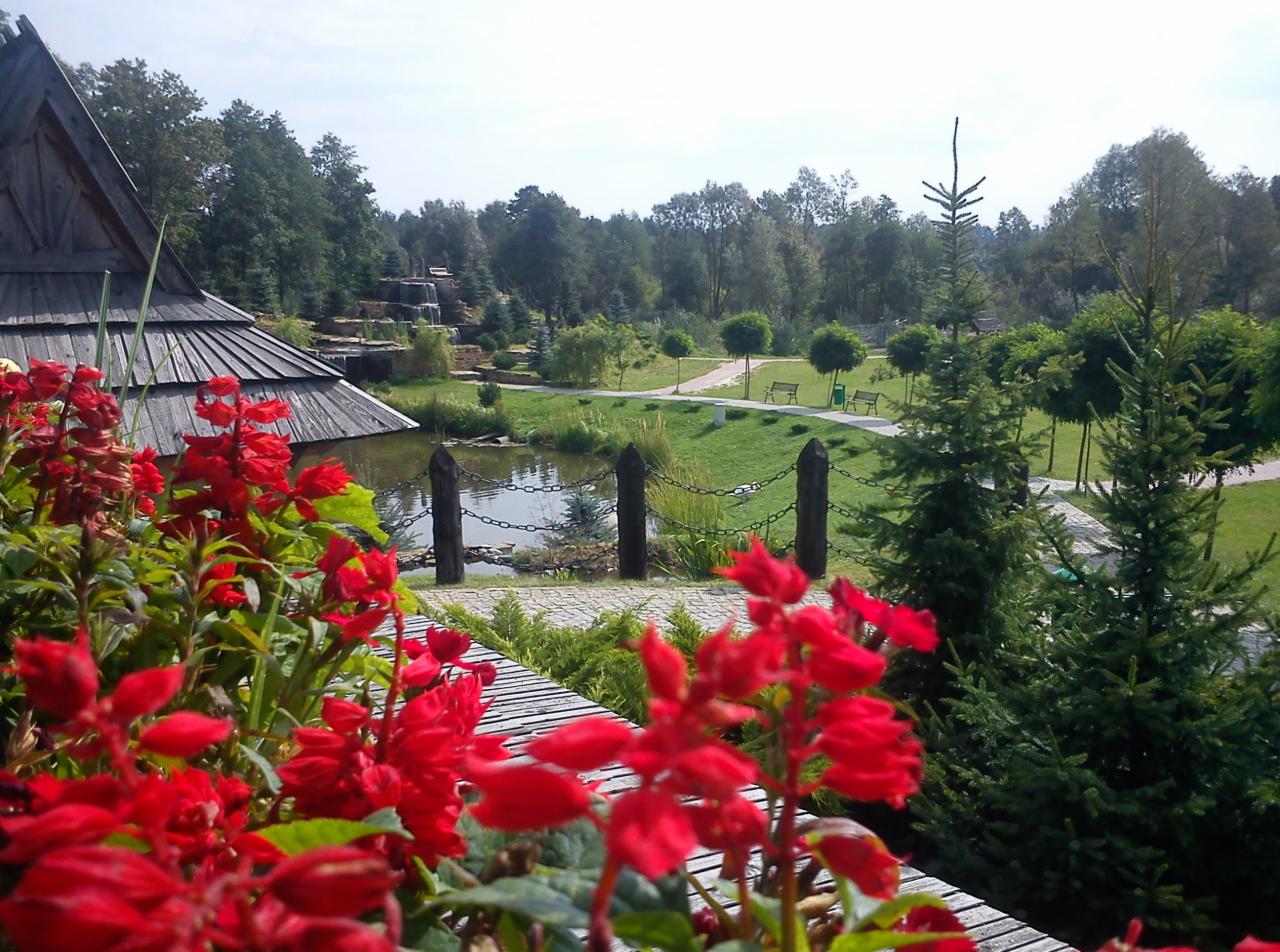 Ogród z czerwonymi kwiatami na pierwszym planie, stawem i wodospadem w tle. Widoczna drewniana architektura i zadbana zieleń.