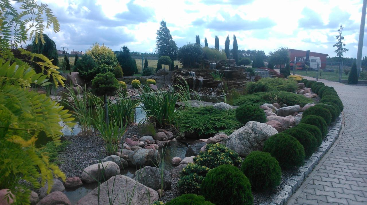Ogród z oczkiem wodnym i kaskadą, obsadzony różnorodną roślinnością: iglaki, trawy ozdobne, krzewy. Ścieżka z kostki brukowej obrzeżona kulistymi krzewami. Niebo pochmurne.